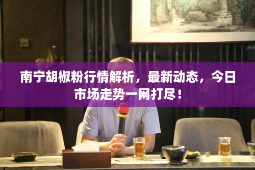 南宁胡椒粉行情解析，最新动态，今日市场走势一网打尽！