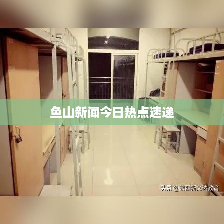 鱼山新闻今日热点速递