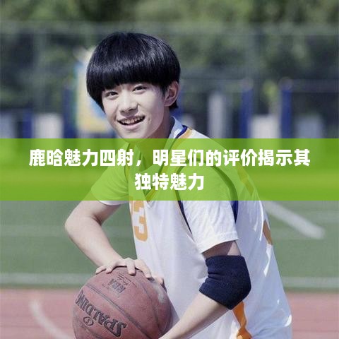 鹿晗魅力四射，明星们的评价揭示其独特魅力