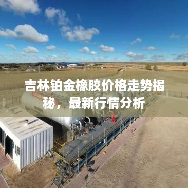 吉林铂金橡胶价格走势揭秘，最新行情分析