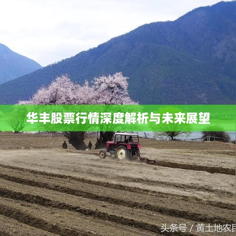 华丰股票行情深度解析与未来展望