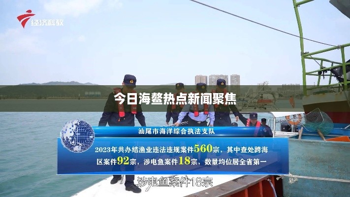 今日海鳌热点新闻聚焦