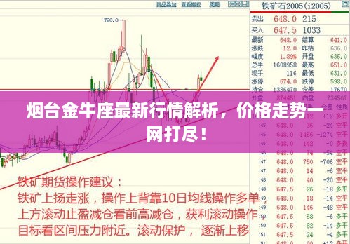烟台金牛座最新行情解析，价格走势一网打尽！