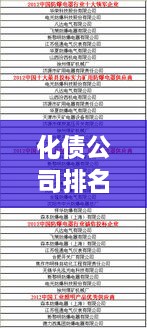 化债公司排名揭晓，引领中国化债行业的领军企业榜单！