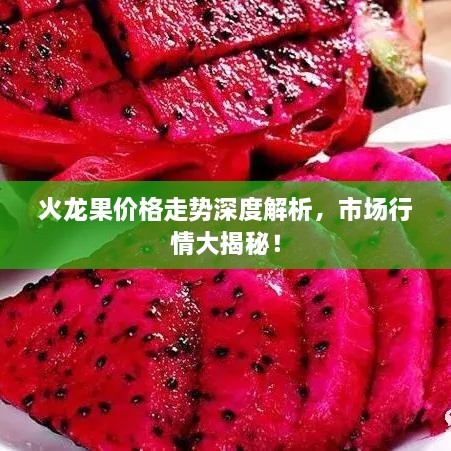 免责声明 第28页