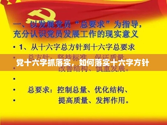 党十六字抓落实，如何落实十六字方针 