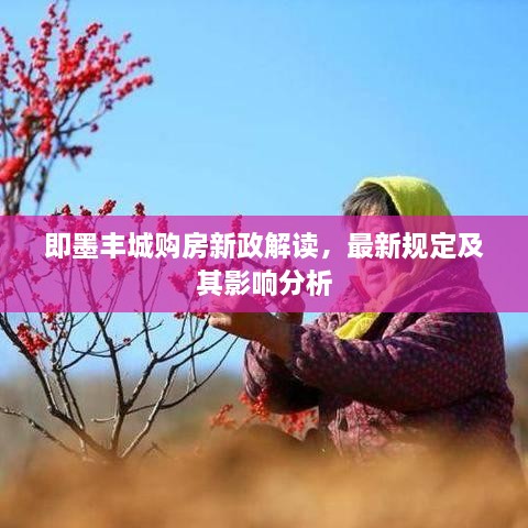 即墨丰城购房新政解读，最新规定及其影响分析