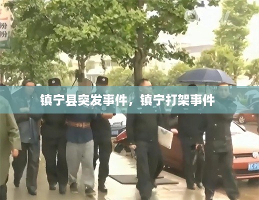 镇宁县突发事件，镇宁打架事件 