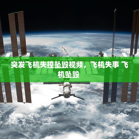 花开无言