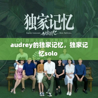 audrey的独家记忆，独家记忆solo 