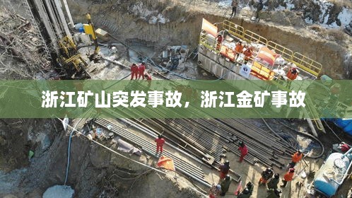 纲举目张