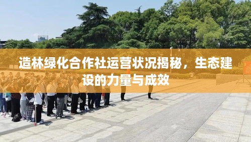造林绿化合作社运营状况揭秘，生态建设的力量与成效
