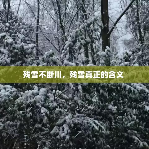 鸟惊鼠窜