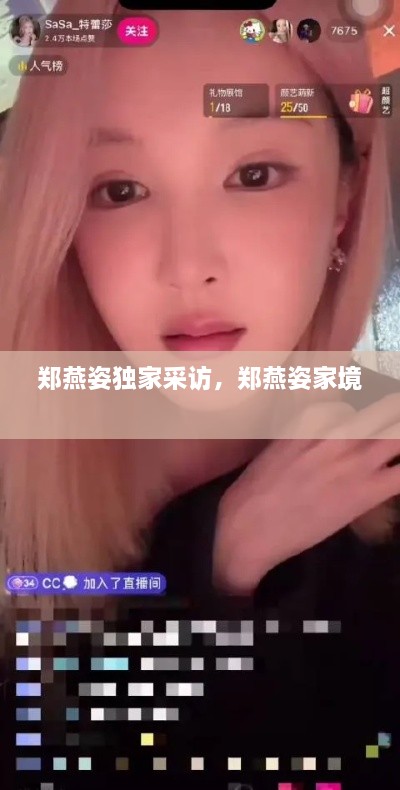 郑燕姿独家采访，郑燕姿家境 