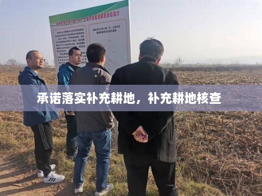 承诺落实补充耕地，补充耕地核查 