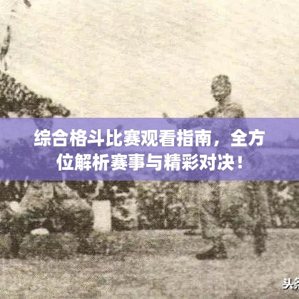 综合格斗比赛观看指南，全方位解析赛事与精彩对决！