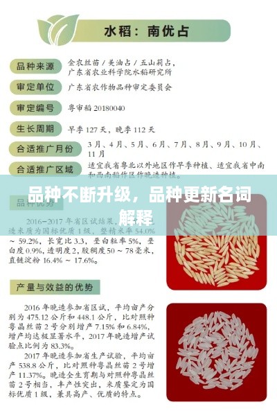 品种不断升级，品种更新名词解释 