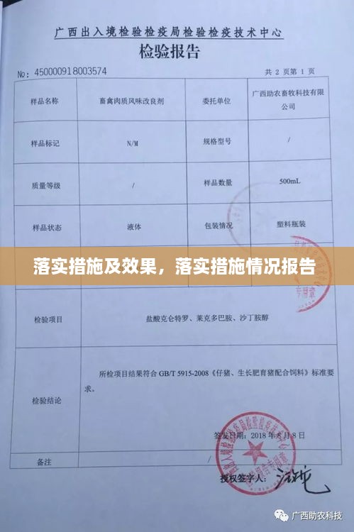 落实措施及效果，落实措施情况报告 