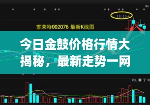 今日金鼓价格行情大揭秘，最新走势一网打尽