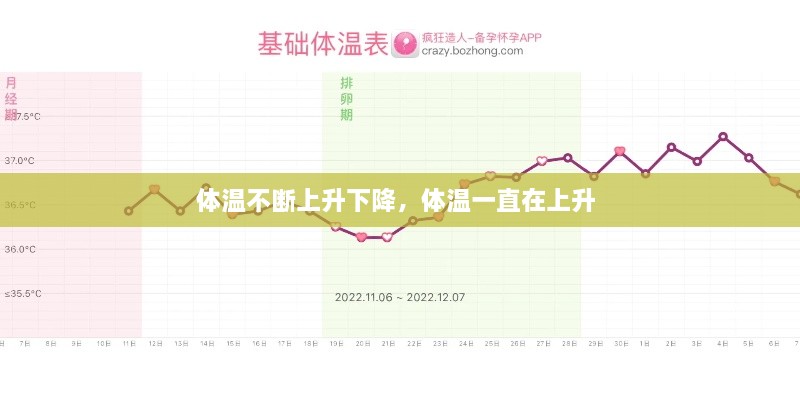 体温不断上升下降，体温一直在上升 