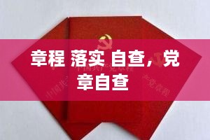 章程 落实 自查，党章自查 