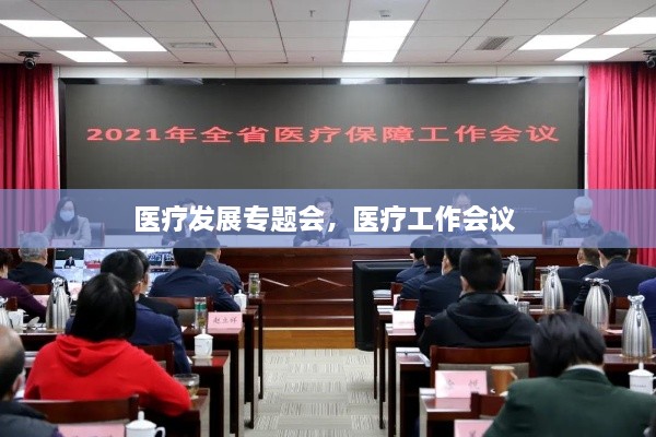 医疗发展专题会，医疗工作会议 