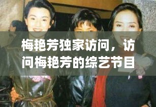 梅艳芳独家访问，访问梅艳芳的综艺节目 