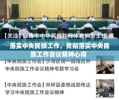 落实中央民族工作，贯彻落实中央民族工作会议精神心得 