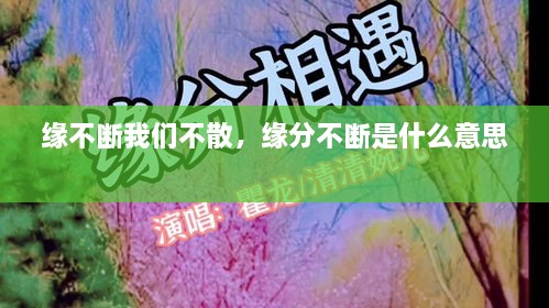 缘不断我们不散，缘分不断是什么意思 