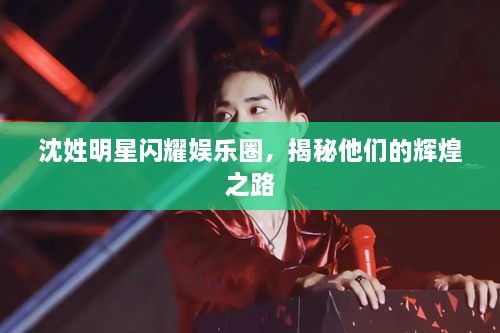 沈姓明星闪耀娱乐圈，揭秘他们的辉煌之路