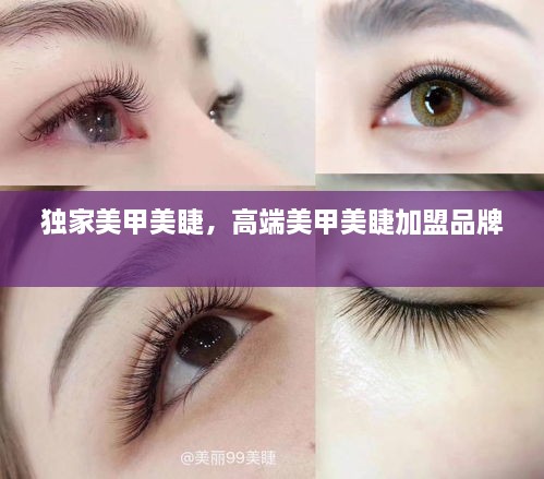 独家美甲美睫，高端美甲美睫加盟品牌 