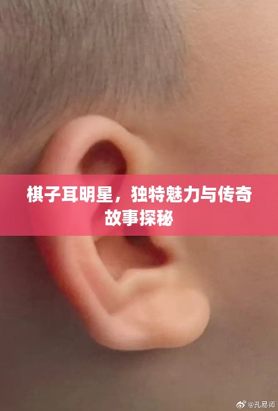 棋子耳明星，独特魅力与传奇故事探秘