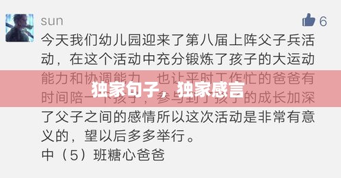 独家句子，独家感言 