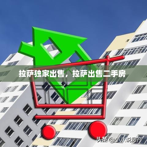 拉萨独家出售，拉萨出售二手房 