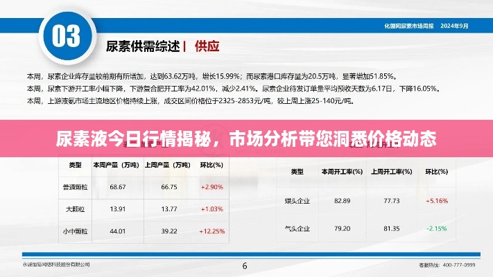 尿素液今日行情揭秘，市场分析带您洞悉价格动态