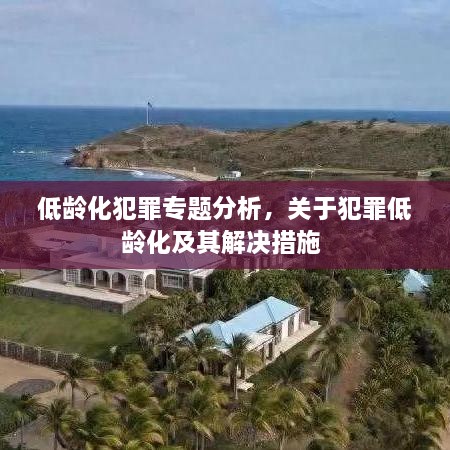 低龄化犯罪专题分析，关于犯罪低龄化及其解决措施 