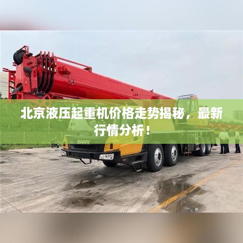 拔新领异