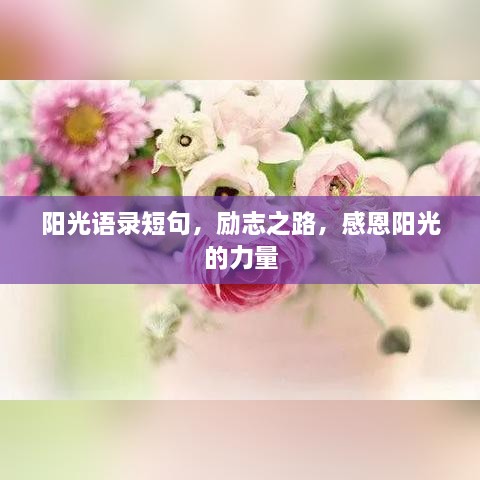 阳光语录短句，励志之路，感恩阳光的力量