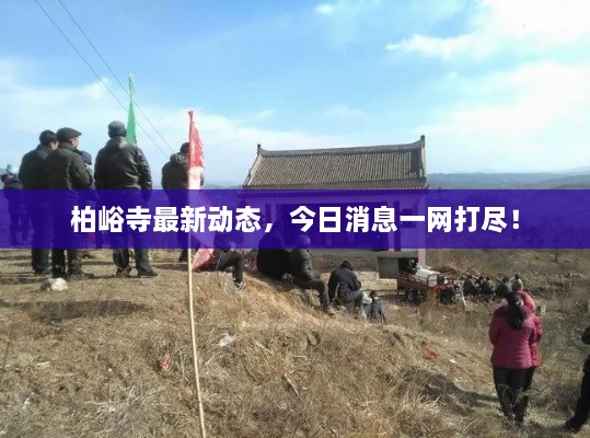 柏峪寺最新动态，今日消息一网打尽！