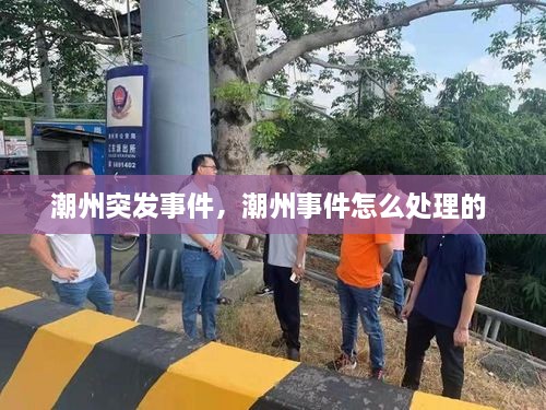 潮州突发事件，潮州事件怎么处理的 