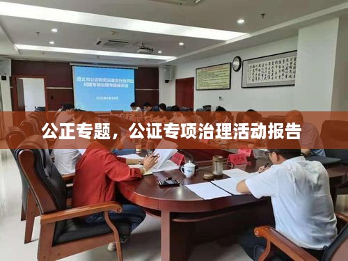 公正专题，公证专项治理活动报告 