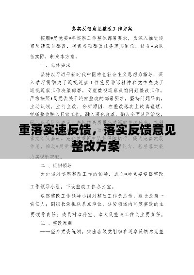 重落实速反馈，落实反馈意见整改方案 