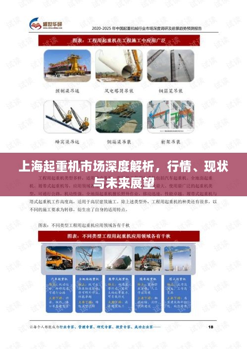 上海起重机市场深度解析，行情、现状与未来展望