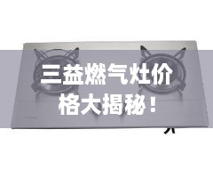 三益燃气灶价格大揭秘！