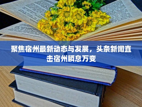 聚焦宿州最新动态与发展，头条新闻直击宿州瞬息万变