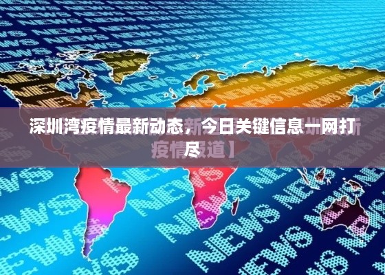 深圳湾疫情最新动态，今日关键信息一网打尽