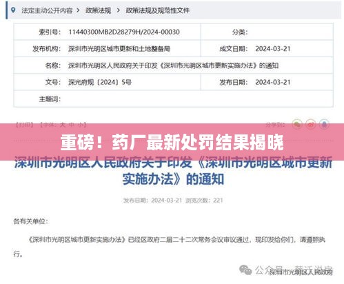 重磅！药厂最新处罚结果揭晓