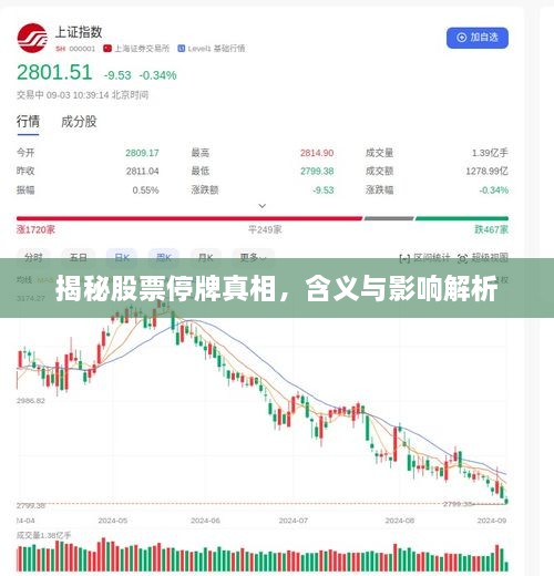 揭秘股票停牌真相，含义与影响解析