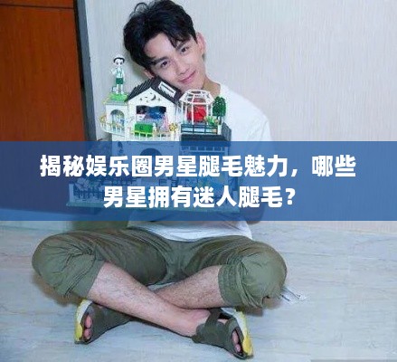 揭秘娱乐圈男星腿毛魅力，哪些男星拥有迷人腿毛？