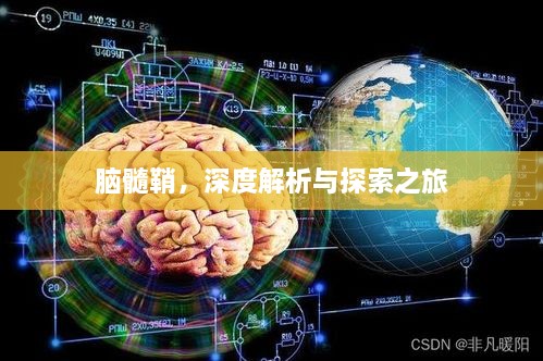 脑髓鞘，深度解析与探索之旅
